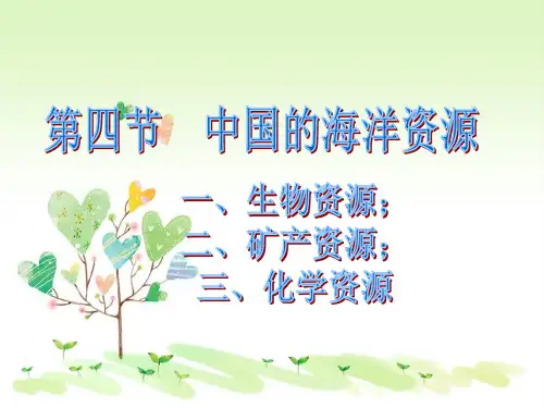 湘教版初二地理上册3第四节中国的海洋资源PPT课件7