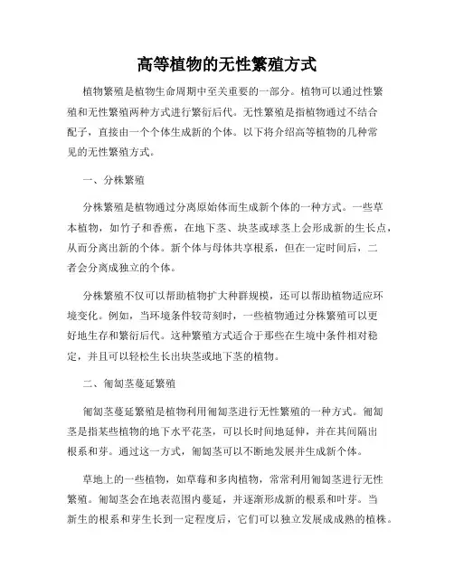 高等植物的无性繁殖方式