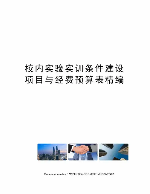 校内实验实训条件建设项目与经费预算表精编