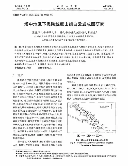 塔中地区下奥陶统鹰山组白云岩成因研究