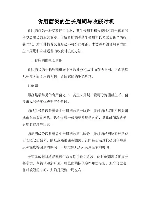 食用菌类的生长周期与收获时机