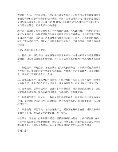 打击非法开采领导发言稿