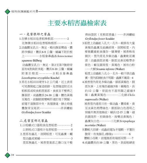 水稻主要害虫检索表