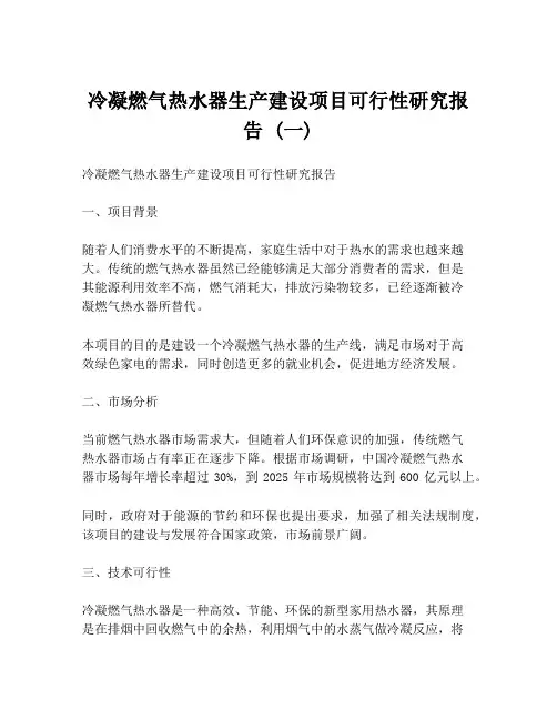 冷凝燃气热水器生产建设项目可行性研究报告 (一)