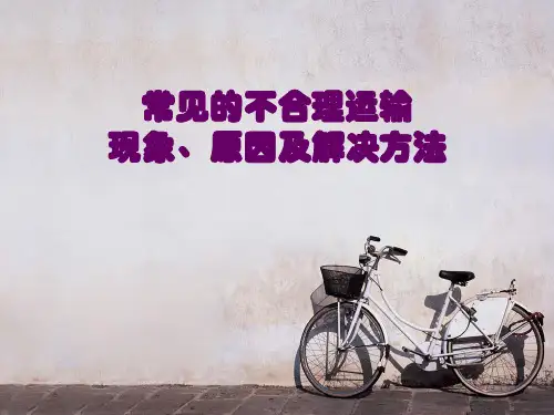 常见的不合理运输概况