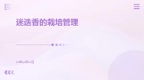 迷迭香的栽培管理