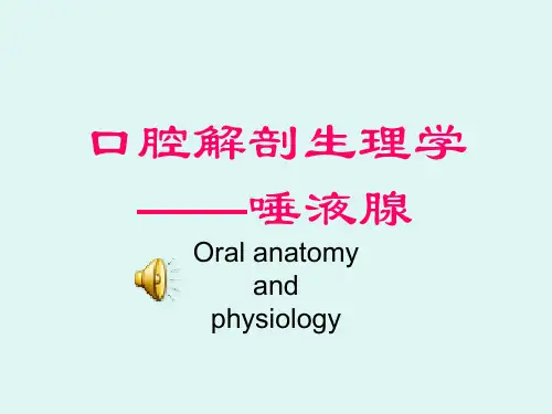 口解——唾液腺