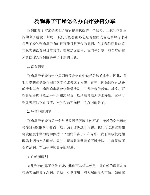 狗狗鼻子干燥怎么办自疗妙招分享