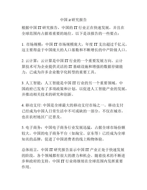 中国it研究报告