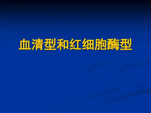 血清型1