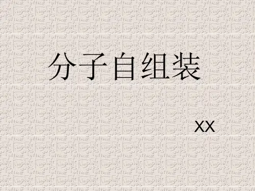 分子自组装