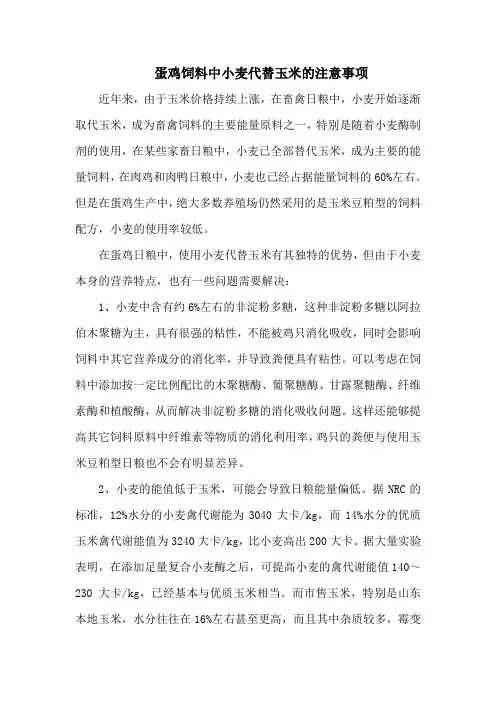 蛋鸡饲料中小麦代替玉米的注意事项
