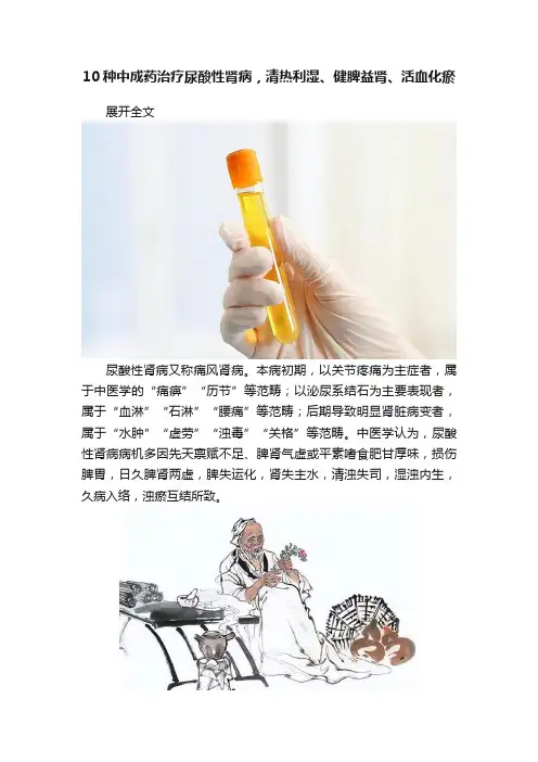 10种中成药治疗尿酸性肾病，清热利湿、健脾益肾、活血化瘀