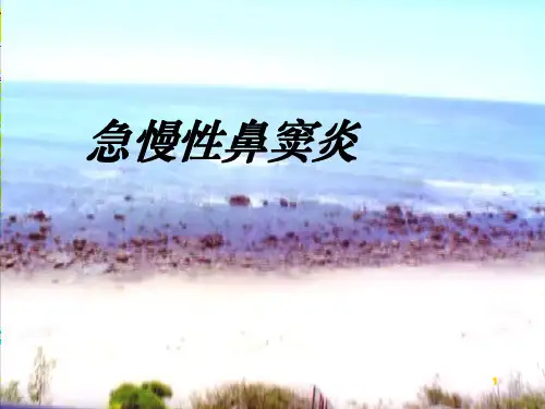 鼻窦炎ppt课件