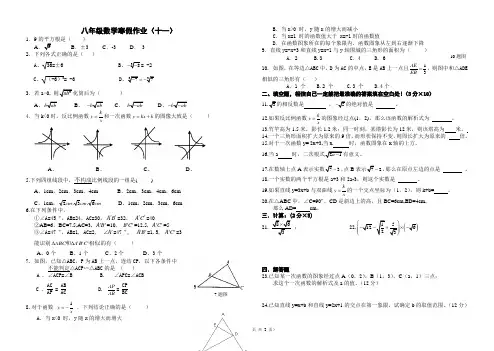 八年级上数学寒假作业11
