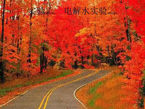 中考化学总复习 实验 电解水实验课件