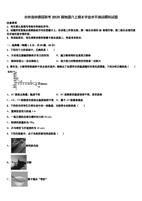 吉林省伊通县联考2025届物理八上期末学业水平测试模拟试题含解析