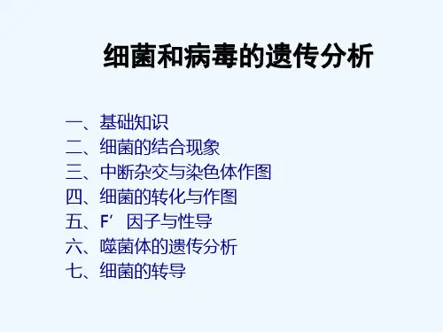 2023年高中生物竞赛课件：细菌和病毒的遗传分析
