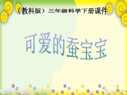(鄂教版)版小学科学三下《可爱的蚕宝宝》PPT课件(同课异构)(1)