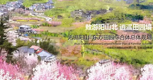无锡惠山阳山田园东方总体规划-20191204(东联设计)