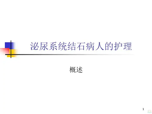 泌尿系统结石病人的护理PPT课件