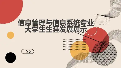 信息管理与信息系统专业大学生生涯发展展示