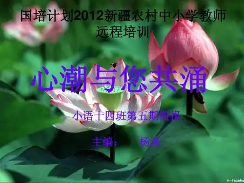 国培简报.ppt0