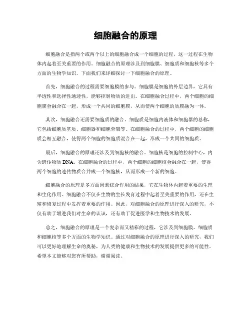 细胞融合的原理