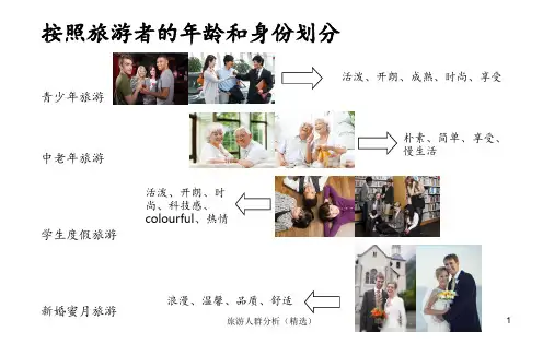 旅游人群分析(精选)