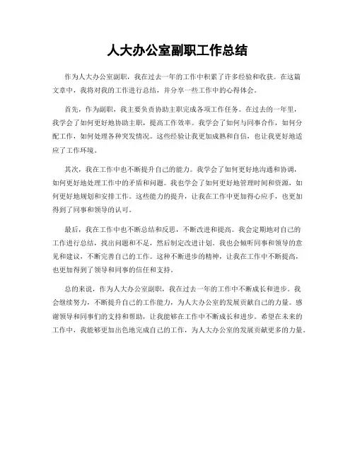 人大办公室副职工作总结