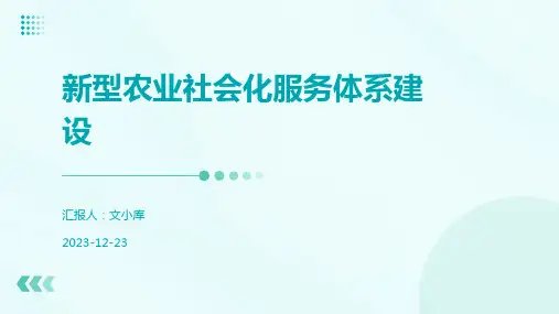 新型农业社会化服务体系建设