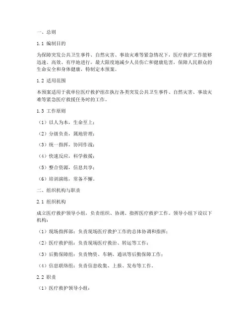 医疗救护组应急预案