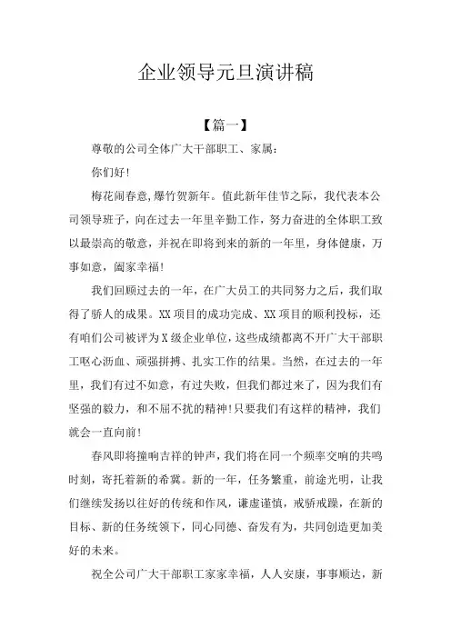 企业领导元旦演讲稿