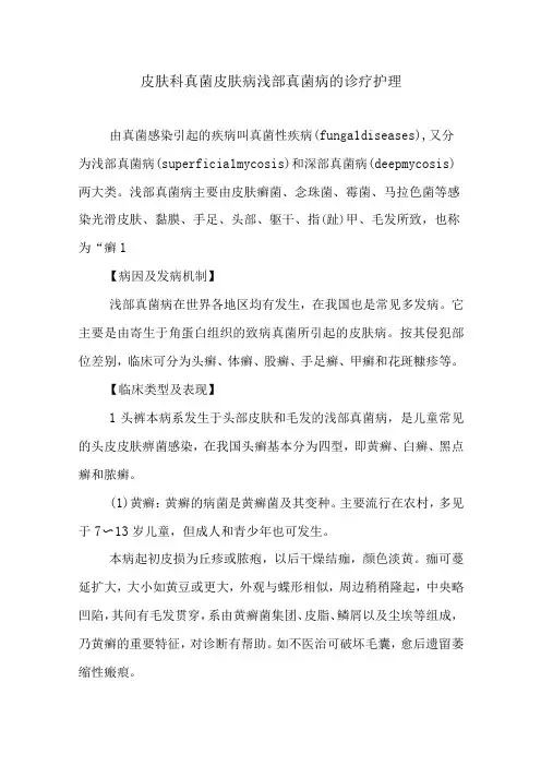 皮肤科真菌皮肤病浅部真菌病的诊疗护理