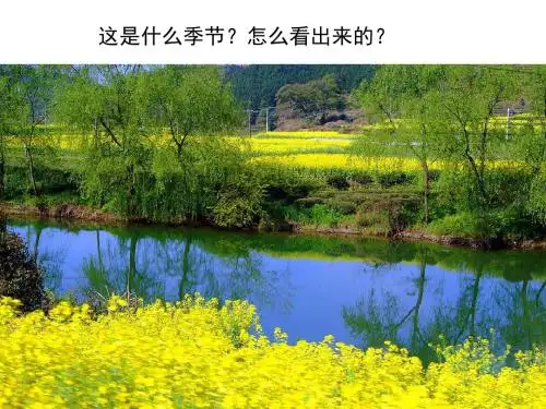 苏教版四下4《古诗两首》ok
