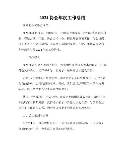 2024协会年度工作总结