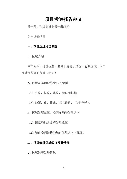 项目考察报告范文