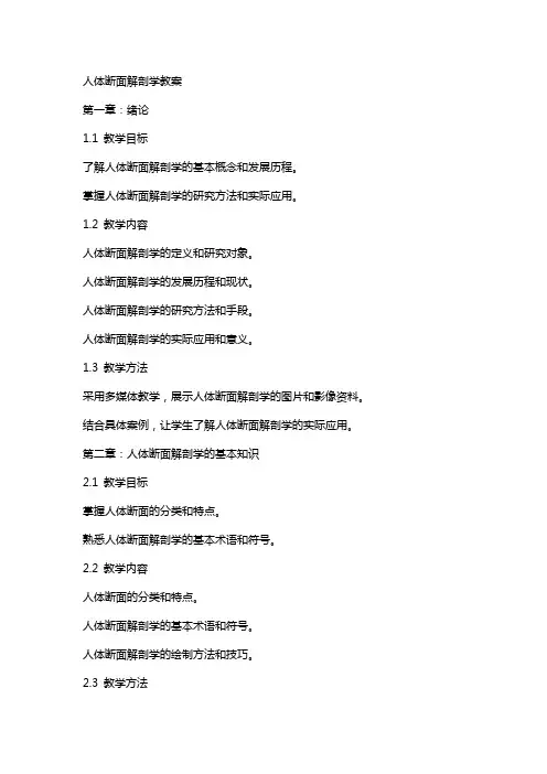 人体断面解剖学教案