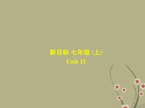 七年级英语上册 Unit11 What time do you go to school Section A 1课件 人教新目标版