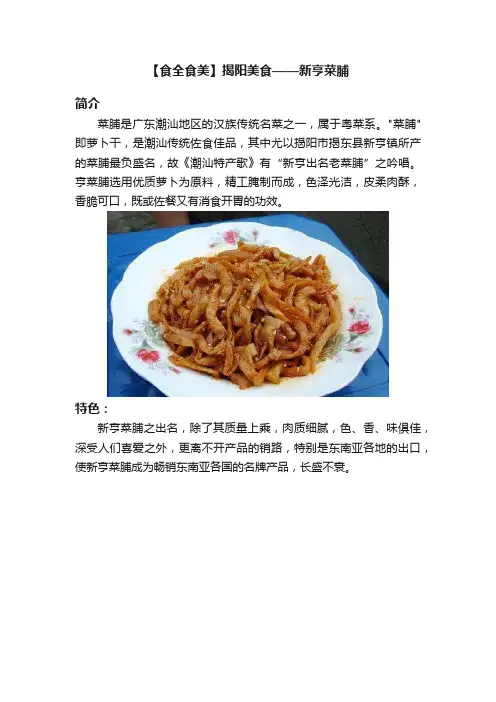 【食全食美】揭阳美食——新亨菜脯