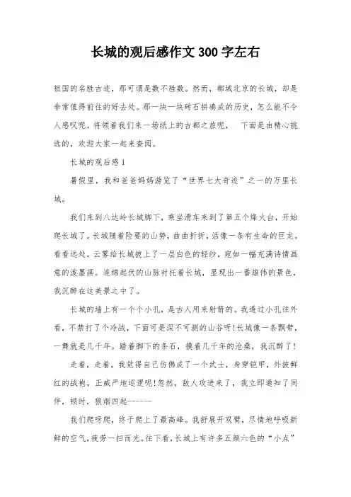 长城的观后感作文300字左右