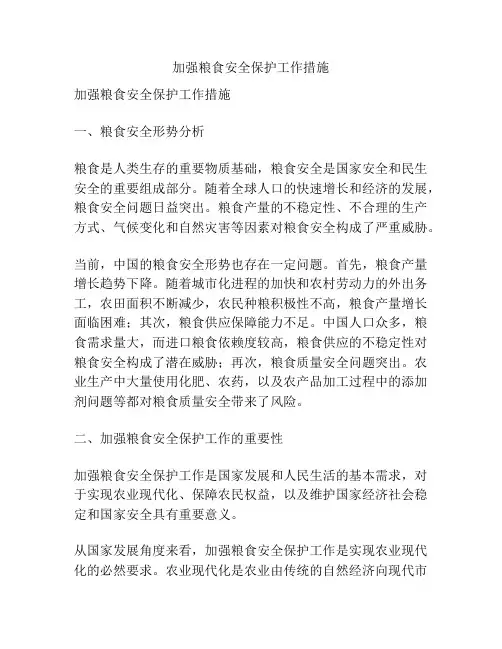 加强粮食安全保护工作措施