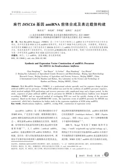 麻竹DISCL6基因amiRNA前体合成及表达载体构建