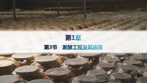 人教版高中生物学选择性必修3生物技术与工程精品课件 第1章 发酵工程 第3节 发酵工程及其应用