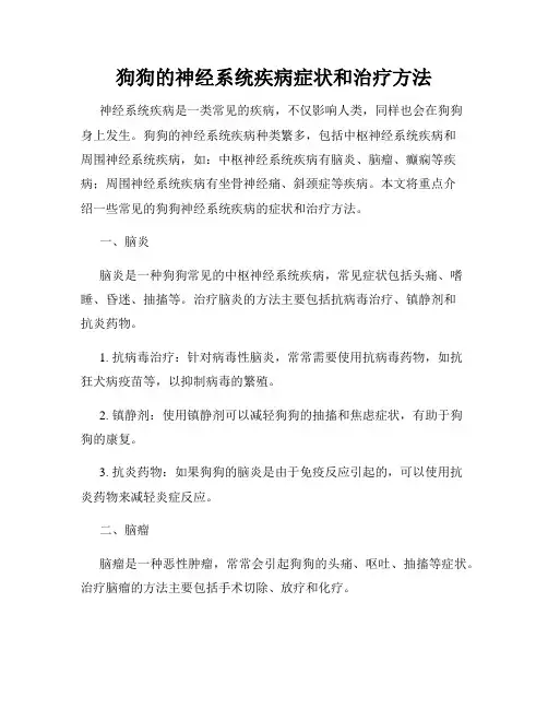 狗狗的神经系统疾病症状和治疗方法