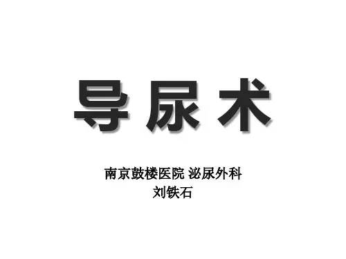 导尿术