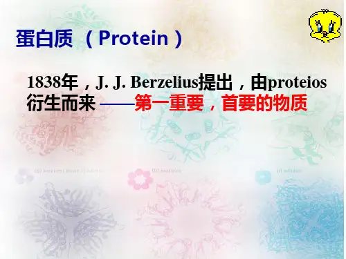 生化第三版考研课件第4章蛋白质的共价结构
