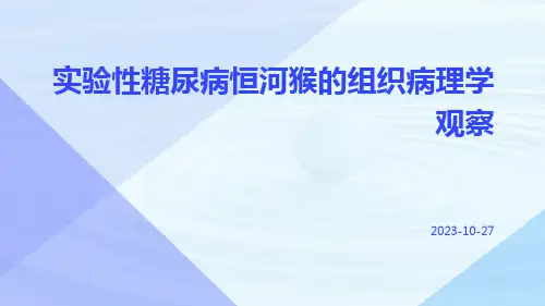 实验性糖尿病恒河猴的组织病理学观察