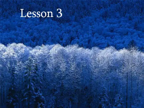 Lesson3PPT优选课件