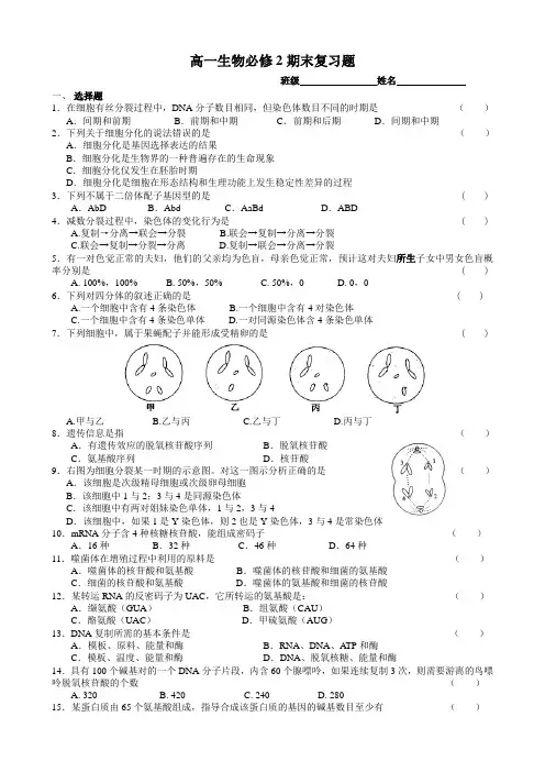 高一生物必修二期末复习题及答案